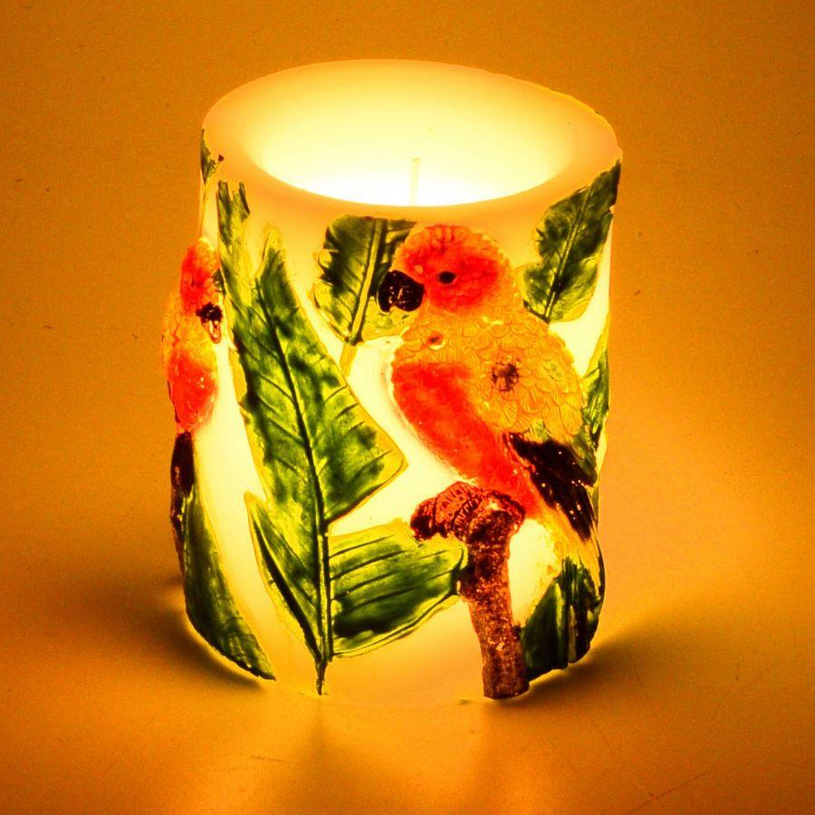 Candela led pappagallo cmø8h10