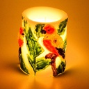 Candela led pappagallo cmø8h10