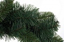 6x Corona Bellamonte D40