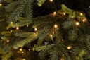 Albero Berkshire H210-5436Rami 1900Led