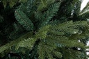Albero Bernina H270-5171Rami
