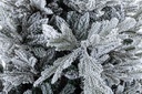 Albero Bernina Innevato H240-4117Rami