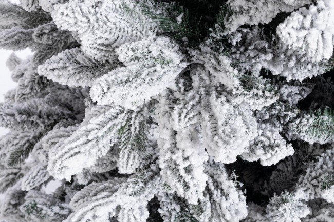 Albero Frejus Innevato H270-3764Rami