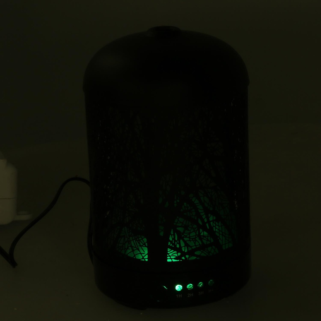Diffusore metallo con spina cmø9