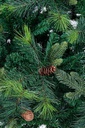 Albero Stelvio H255-2150Rami