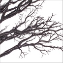 Albero Vienna H230 Nero