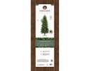 Albero di Natale Grandis slim fir H 180 x ø 86 cm