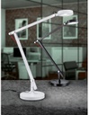 Lampada Bianca da Ufficio Luce Led Orientabile Amsterdam Trio Lighting