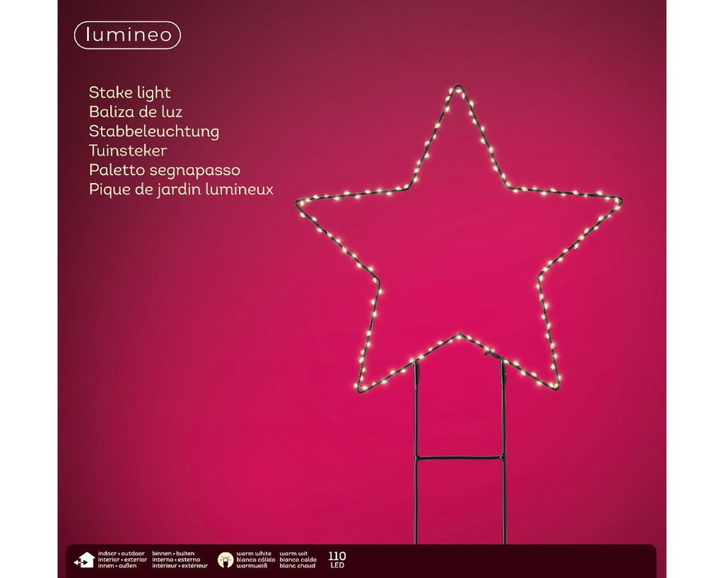 Luce da giardino a pianta Micro LED stella fissa per esterni L 0.6 x Ø 38 cm