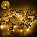 Luce filo 100 led bianco caldo con controller 8m
