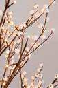 2x Albero Glow H90-32Led Bt Ip20