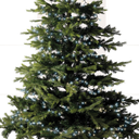 Lici di natale LED COMPACT TWINKLE LIGHT OUTD  1000Led Metri 22.5