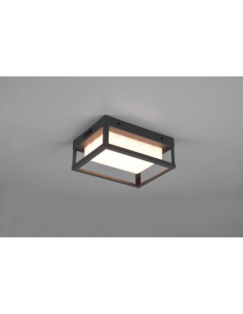 Applique Esterno Led Dip Switch Witham Antracite IP54 Trio Lighting