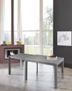 Tavolo allungabile con top in vetro temperato grigio 120/175/230/290/350x75h cm 