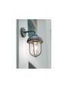 Applique da Ingresso Duero Antracite Lanterna Vetro Trio Lighting