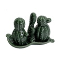 Cactus ceramica verde cm13,5x8,5h10