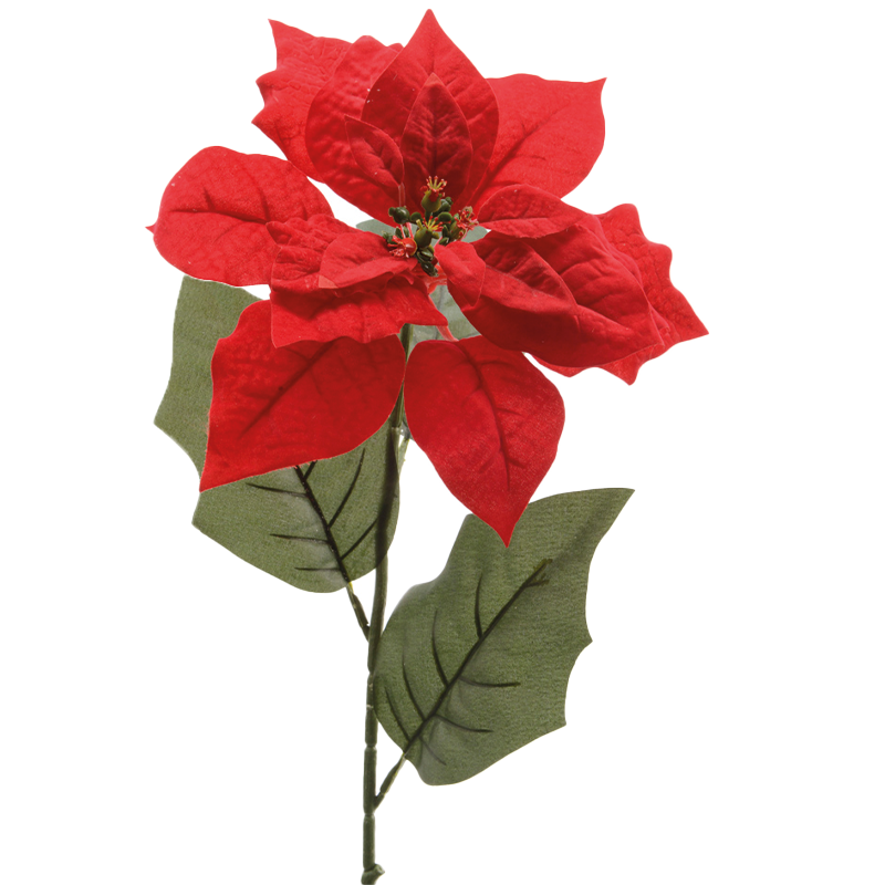 Fiore rosso H67 cm decorazione di natale