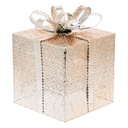 Pacco Regalo VPM Champ. 3AA 20x20xH25cm Luci di Natale