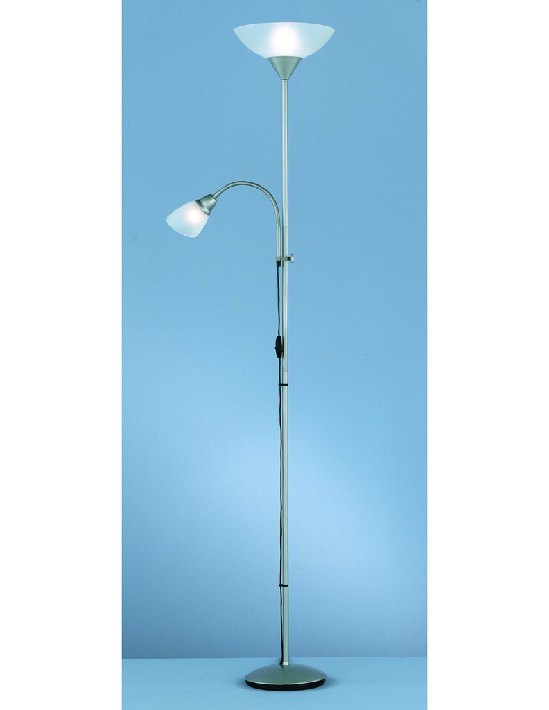 Piantana Con Spot da Lettura Dimmerabile Erzwo Titanio Ø28 cm Trio Lighting