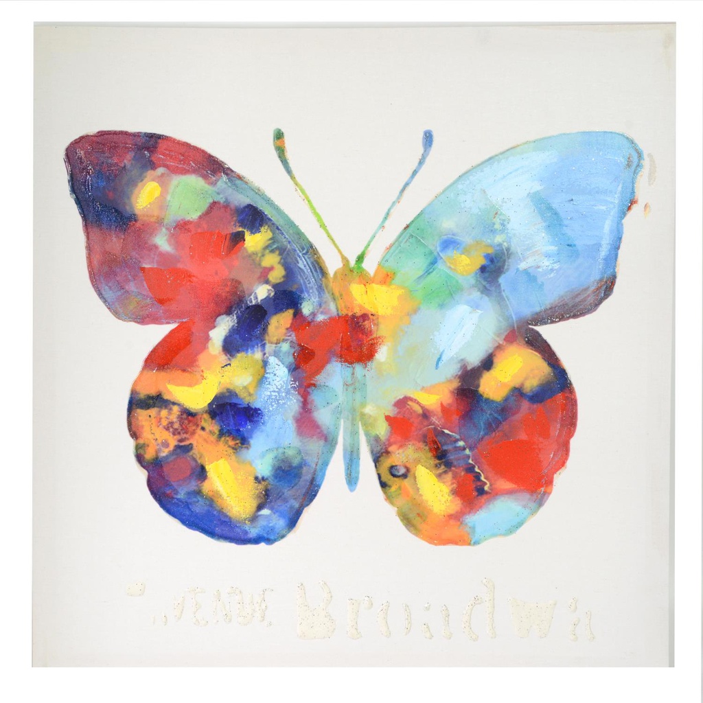 Quadro farfalla yc-2054a cm60x60