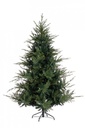 Albero Bernina H270-5171Rami