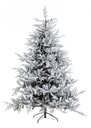 Albero Bernina Innevato H240-4117Rami