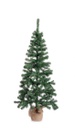 Albero Cerano H165-287Rami