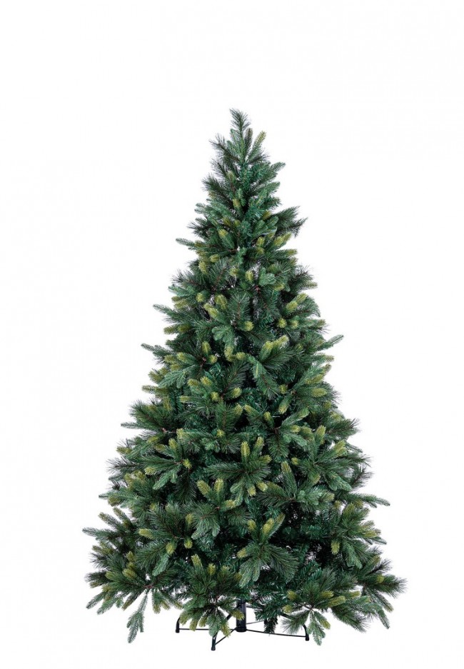 Albero Tauri H210-1236Rami