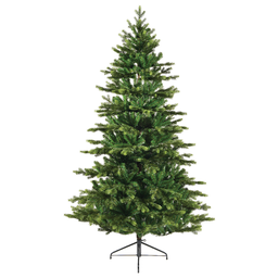 [20035876] Albero di Natale Galloway spruce Ø150 x H 240 cm