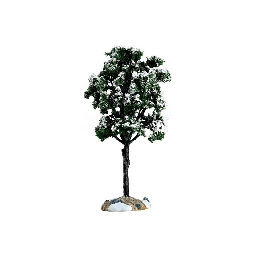 [20038617] Balsam Fir Tree