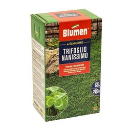 [027351] Blumen - Semi per prato di trifoglio nanissimo da 200 g: il segreto per un prato perfetto!