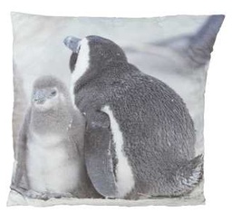 [V9174040000] Cuscino pinguini xf-1234 cm. 50 x 50
