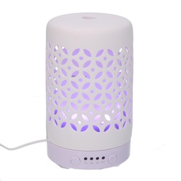 [V5601560000] Diffusore ceramica bianco con spina cmø9