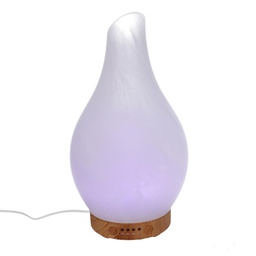 [V5601520000] Diffusore vetro con spina cmø13
