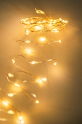 [20035616] Luci Micro Led Arg/B.C 495Cm 100L