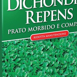 [027352] Prato Black Dichondra g 200