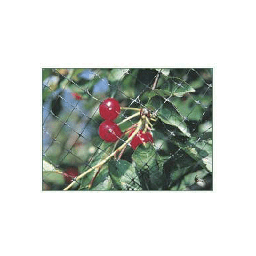 [19907084] Rete Anti-Uccelli M 4X10