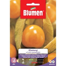 [047784] Semi Alkekengi Frutti Commestibili