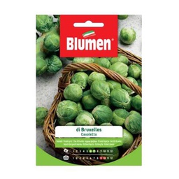 [027292] Semi Cavoletto Di Bruxelles Blumen