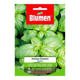 [027295] Semi Di Basilico Italiano Classico In Busta
