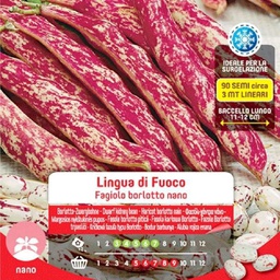 [030524] Semi Di Fagiolo Borlotto Nano Lingua Di Fuoco In Busta Maxi