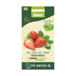 [2002928] Semi Di Fragola Bio