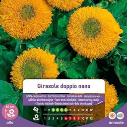 [027317] Semi Di Girasole Doppio Nano In Busta