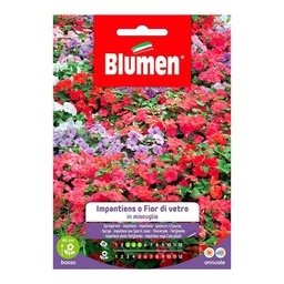 [027326] Semi Di Impatiens O Fior Di Vetro In Miscuglio