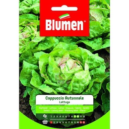[1999847] Semi Di Lattuga Cappuccio Autunnale In Busta