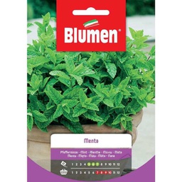 [027324] Semi Di Menta In Busta