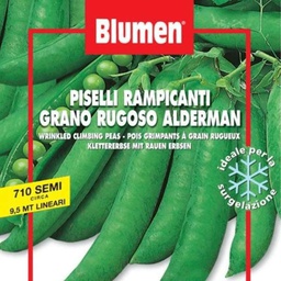 [036425] Semi Di Piselli Rampicanti Gran Rugoso Alderm In Busta