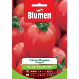 [046490] Semi Di Pomodoro Principe Borghese Blumen