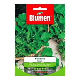 [027268] Semi Di Rucola Coltivata In Busta