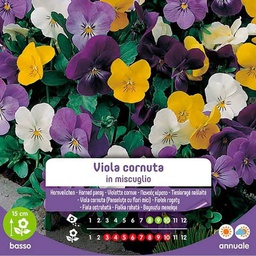 [1999872] Semi Di Viola Cornuta A Miscuglio In Busta